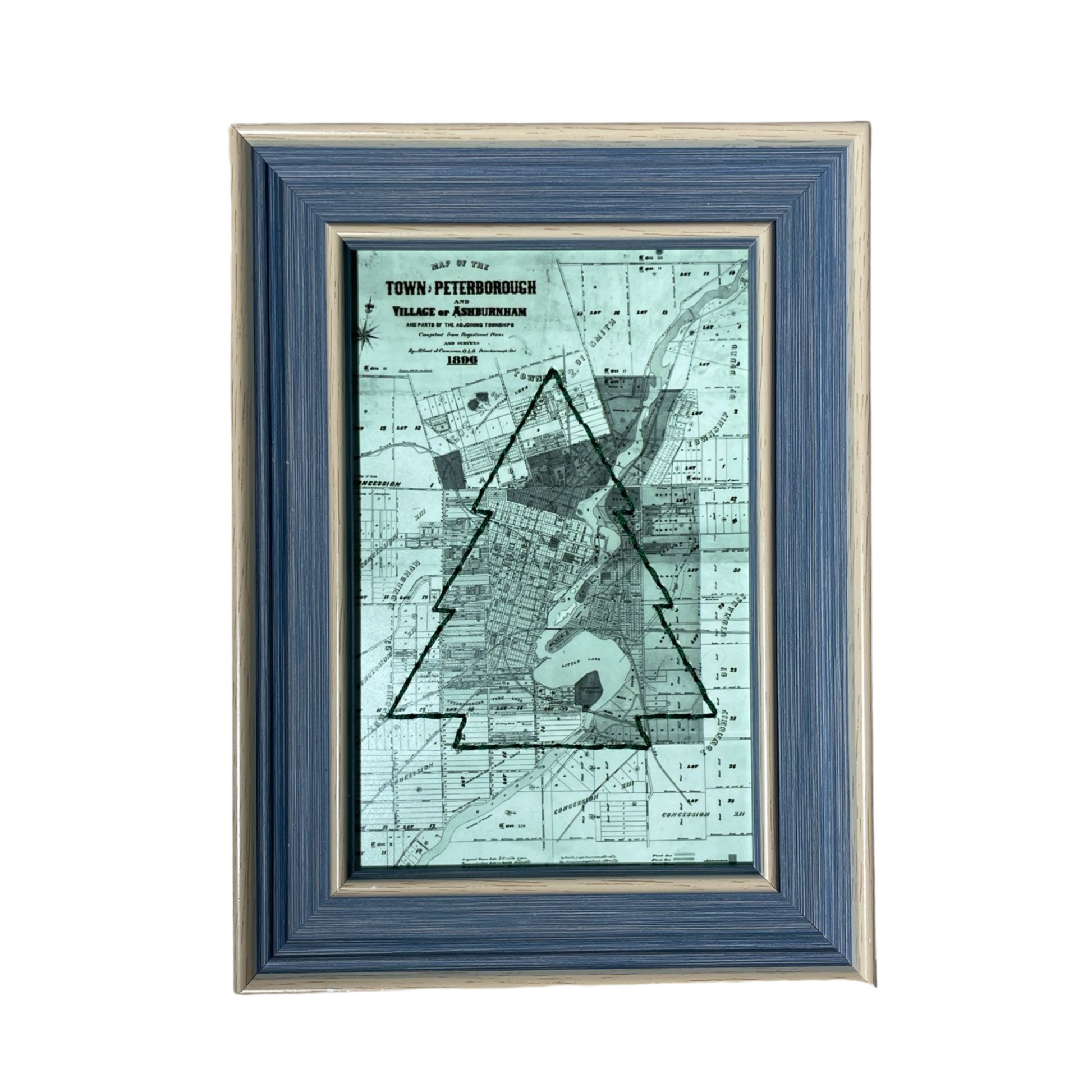 PTBO - Tree Map Picture