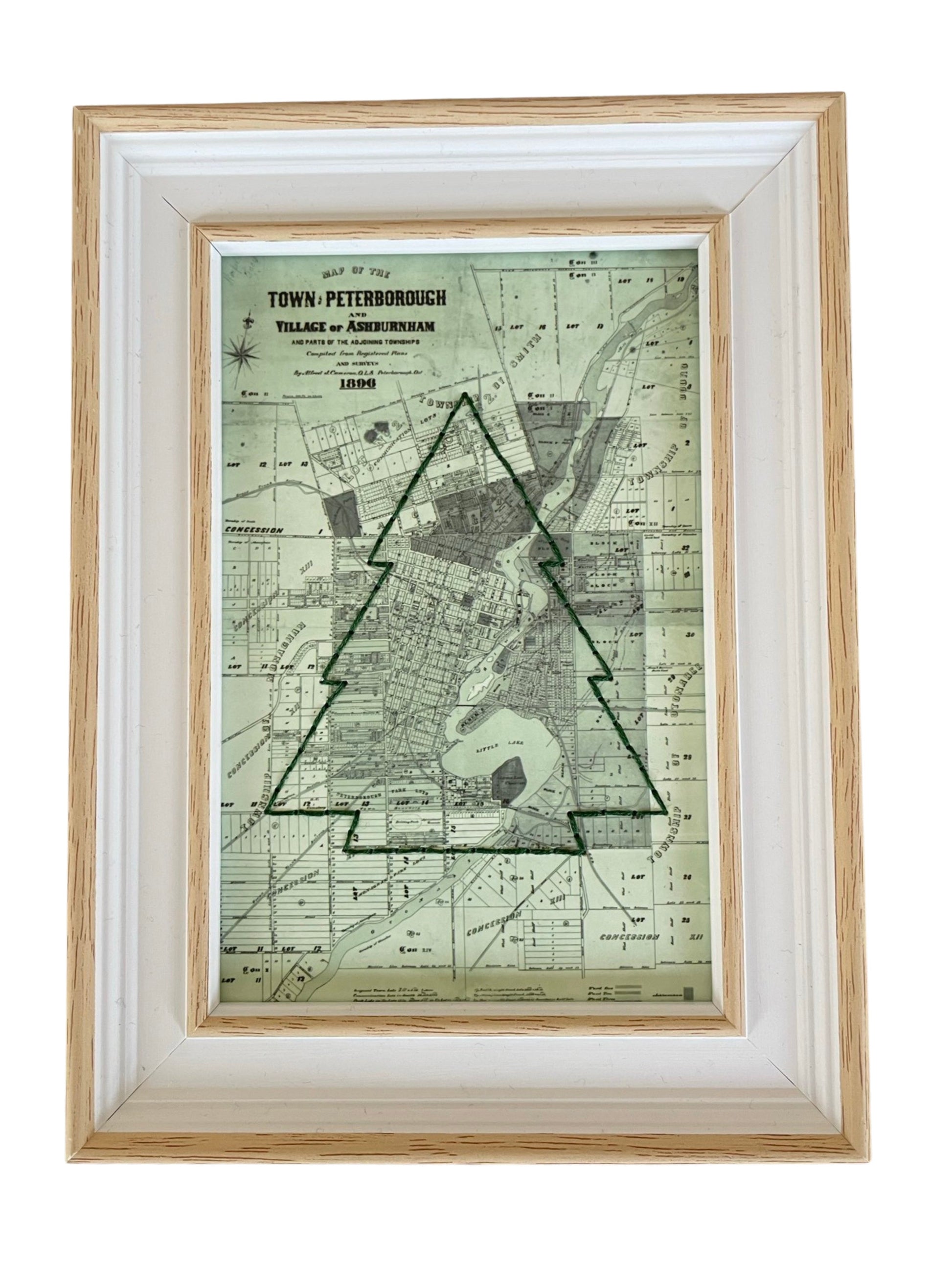 PTBO - Tree Map Picture