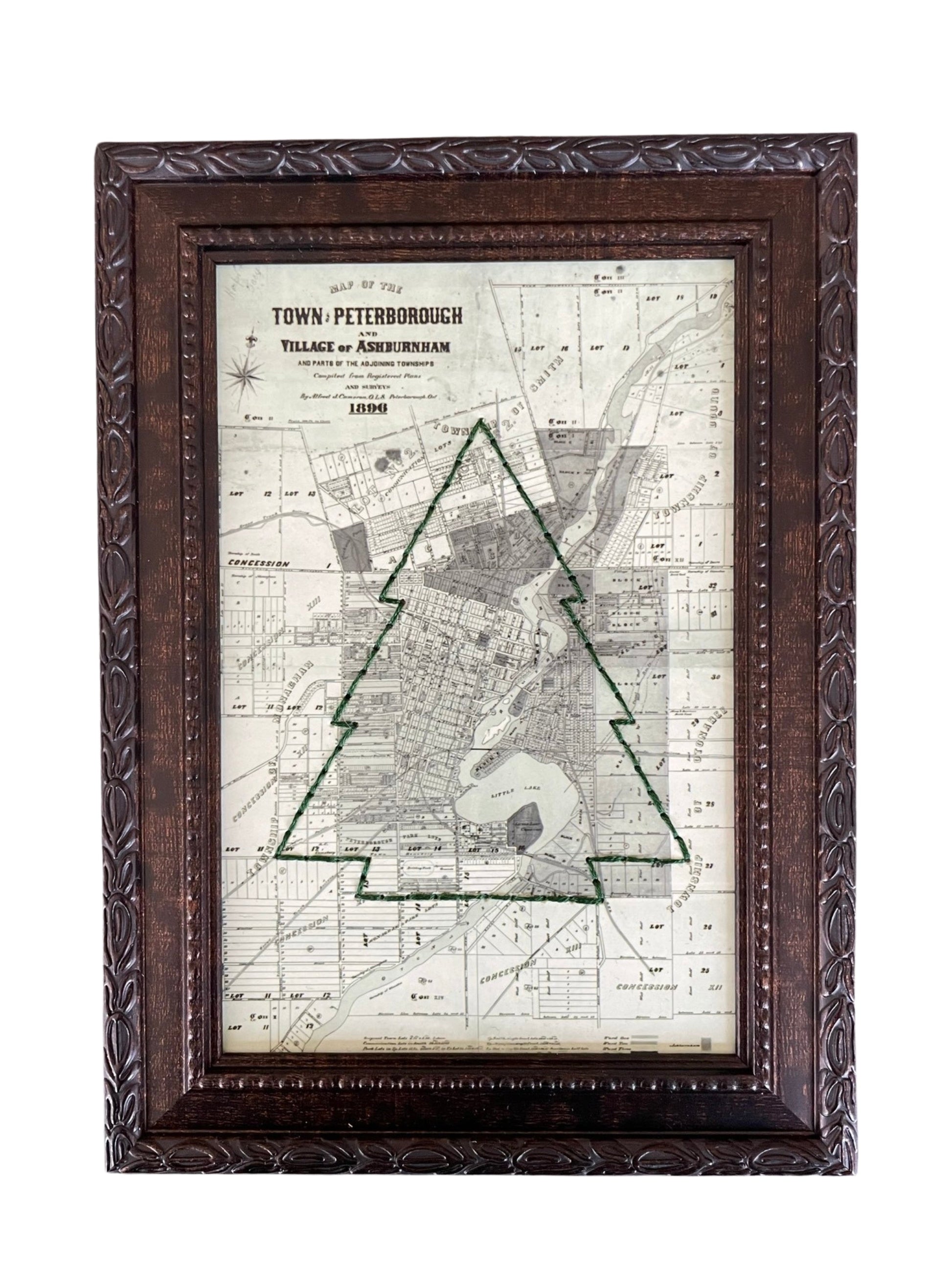 PTBO - Tree Map Picture